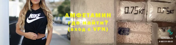 стаф Вязьма
