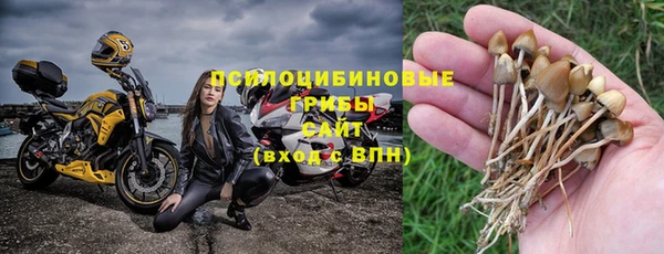 Альфа ПВП Вяземский