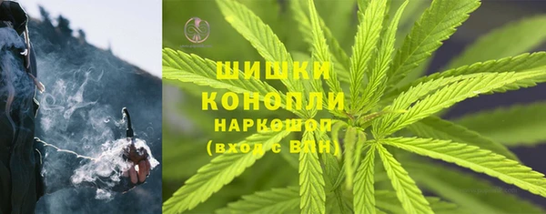 стаф Вязьма