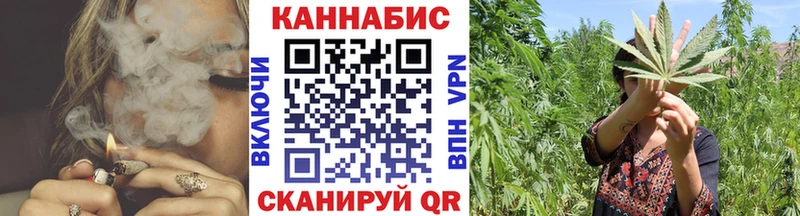 Конопля OG Kush Дальнереченск